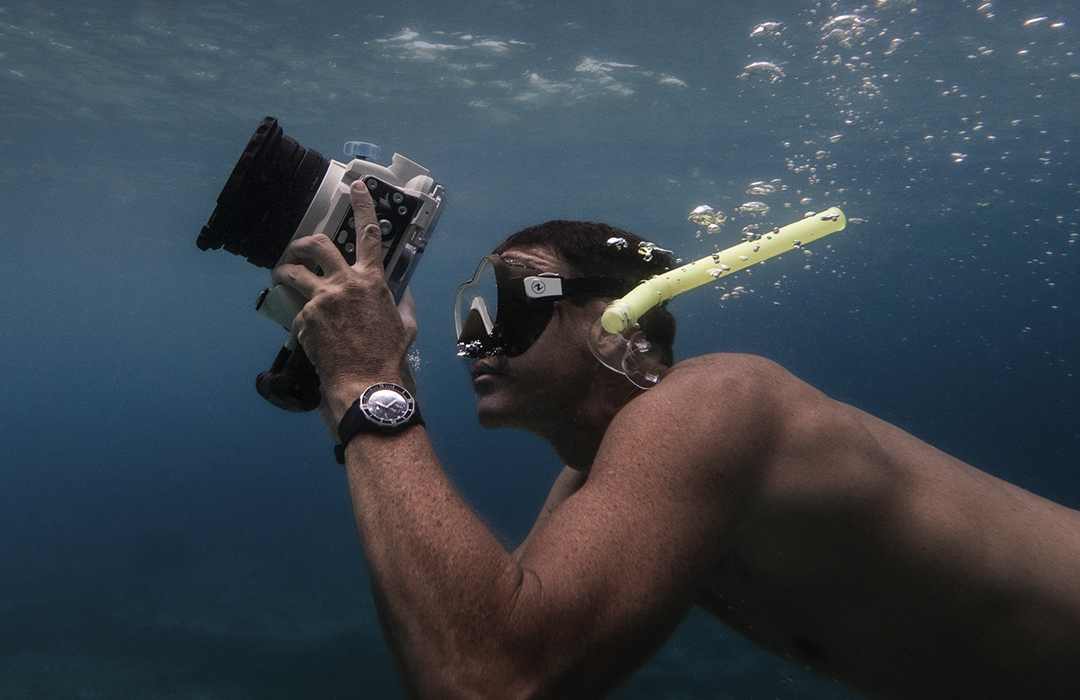 Ulysse Nardin Diver Hammerhead Shark: legado y conservación